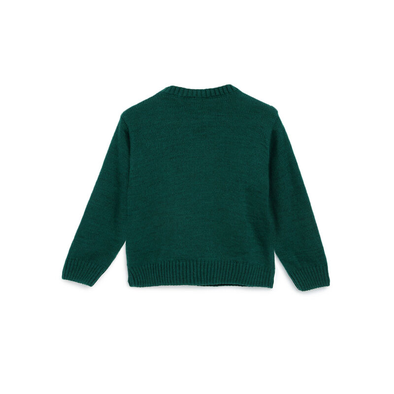 Boys Medium Green Printed Pullover image number null